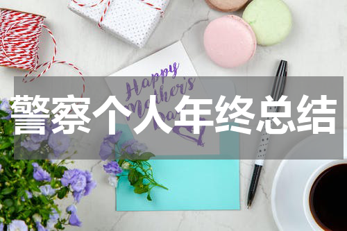警察个人年终总结