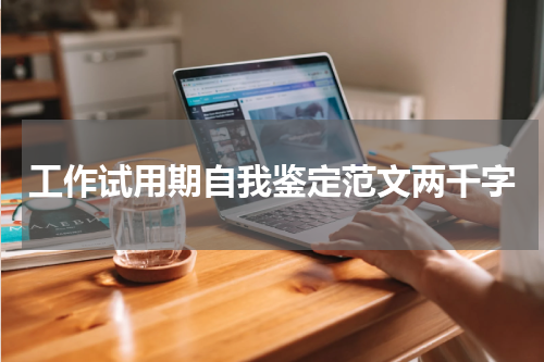 工作试用期自我鉴定范文两千字