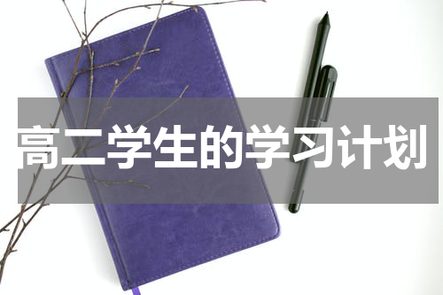 高二学生的学习计划