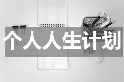 个人人生计划