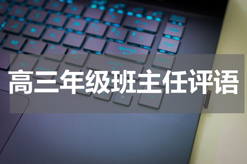 高三年级班主任评语