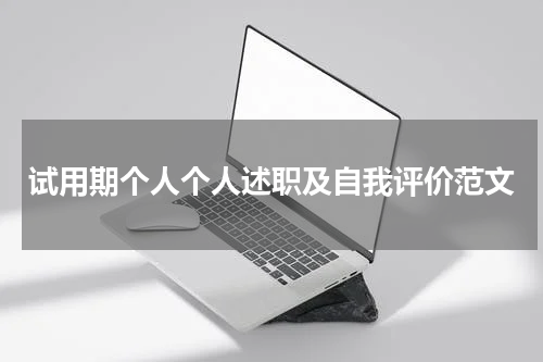 试用期个人个人述职及自我评价范文