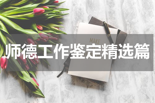 师德工作鉴定精选篇