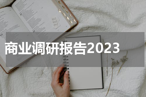 商业调研报告2023