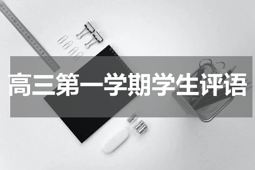 高三第一学期学生评语