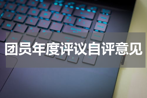 团员年度评议自评意见