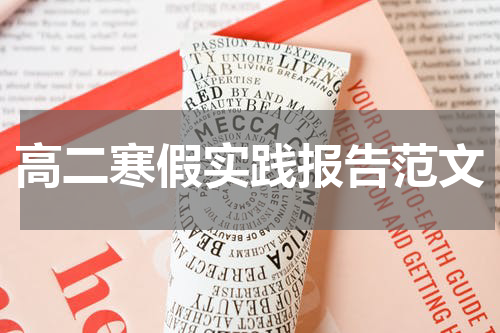 高二寒假实践报告范文