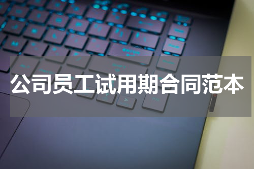 公司员工试用期合同范本