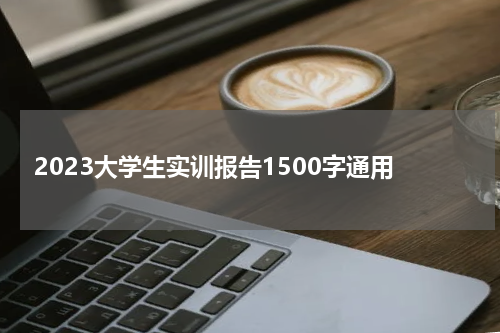 2023大学生实训报告1500字通用