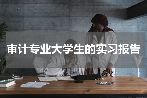 审计专业大学生的实习报告