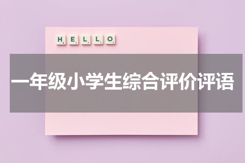 一年级小学生综合评价评语