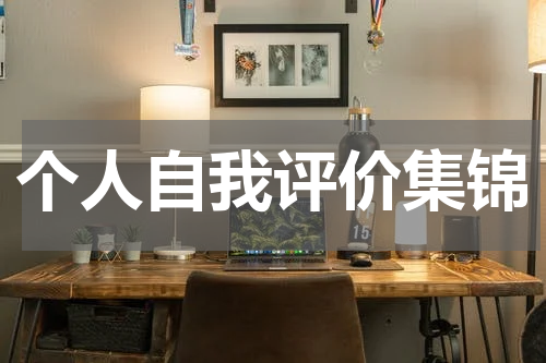 个人自我评价集锦