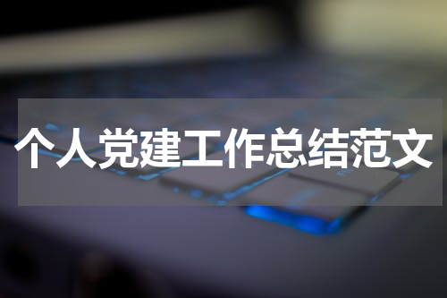 个人党建工作总结范文