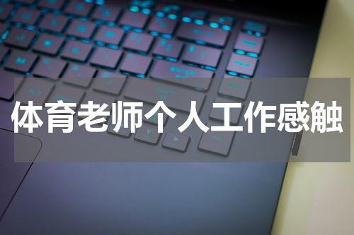 体育老师个人工作感触