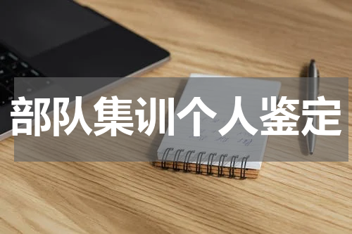 部队集训个人鉴定