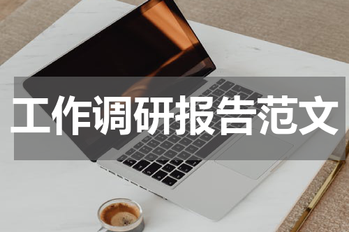 工作调研报告范文