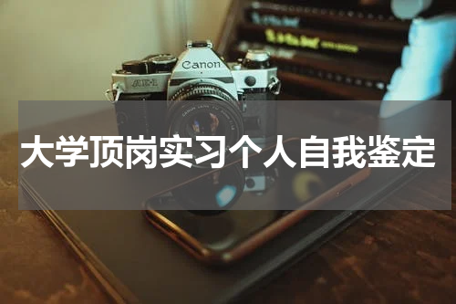大学顶岗实习个人自我鉴定
