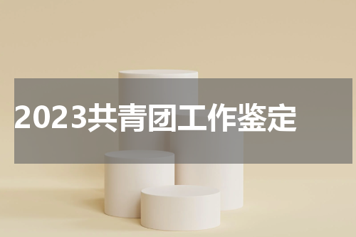 2023共青团工作鉴定