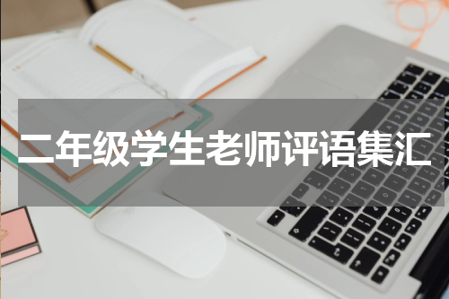 二年级学生老师评语集汇