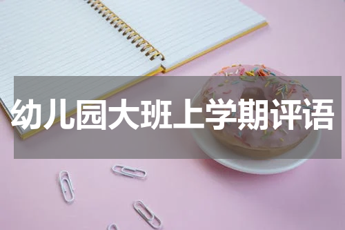 幼儿园大班上学期评语