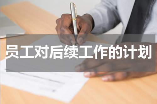 员工对后续工作的计划