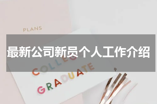 最新公司新员个人工作介绍