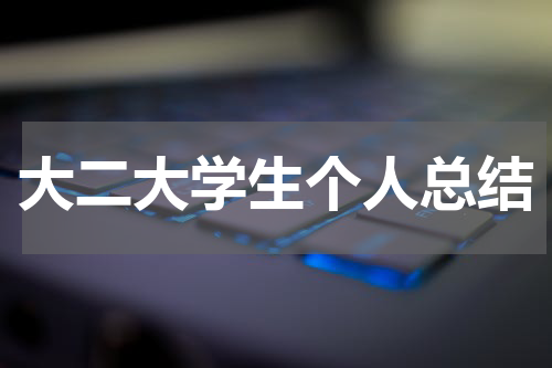 大二大学生个人总结