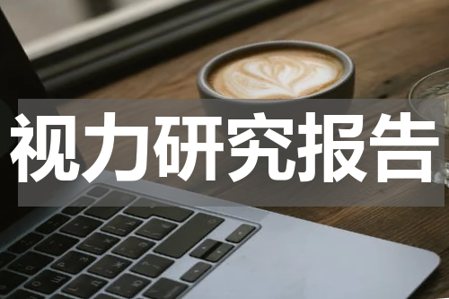 视力研究报告