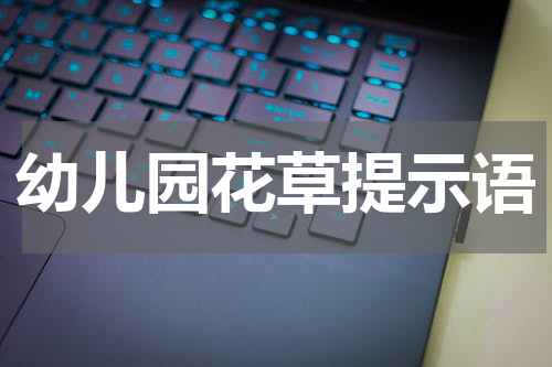 幼儿园花草提示语