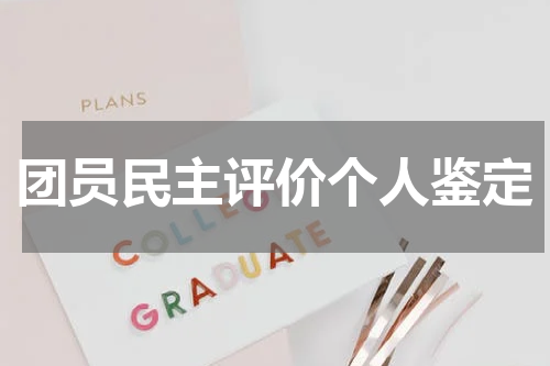 团员民主评价个人鉴定