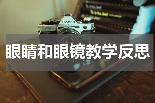 眼睛和眼镜教学反思