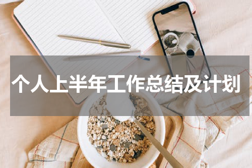 个人上半年工作总结及计划