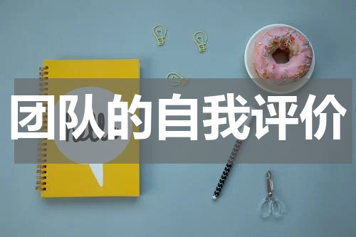团队的自我评价