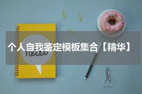 个人自我鉴定模板集合【精华】