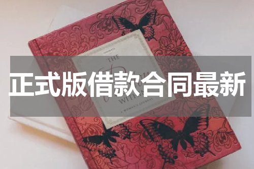 正式版借款合同最新