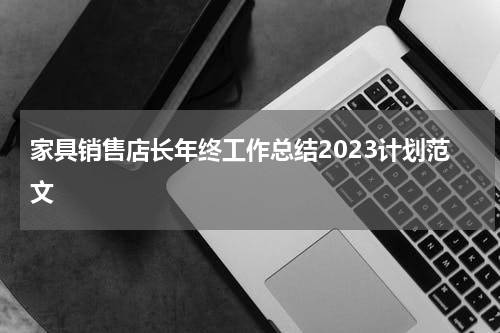 家具销售店长年终工作总结2023计划范文
