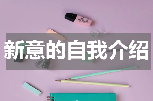 新意的自我介绍