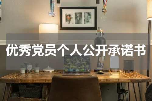 优秀党员个人公开承诺书