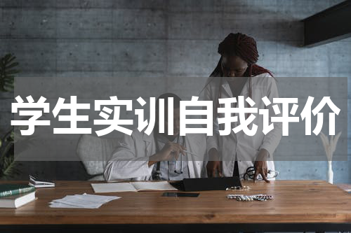学生实训自我评价