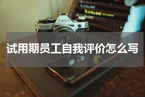 试用期员工自我评价怎么写