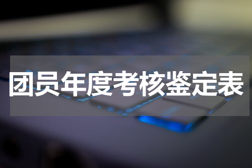 团员年度考核鉴定表