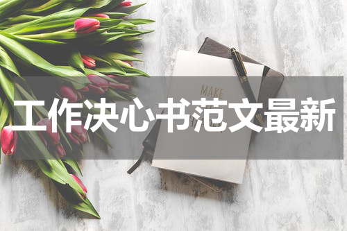工作决心书范文最新