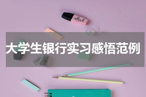 大学生银行实习感悟范例