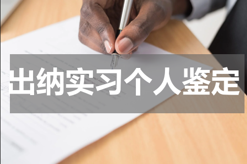 出纳实习个人鉴定