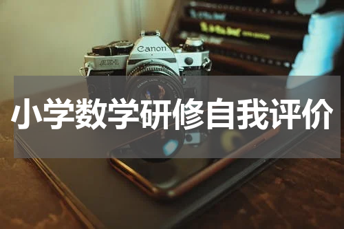 小学数学研修自我评价