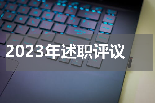 2023年述职评议