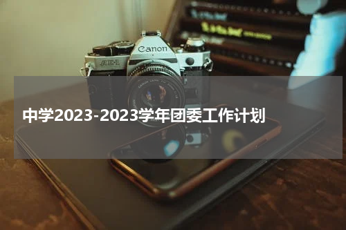 中学2023-2023学年团委工作计划
