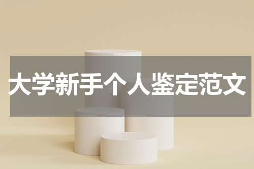 大学新手个人鉴定范文