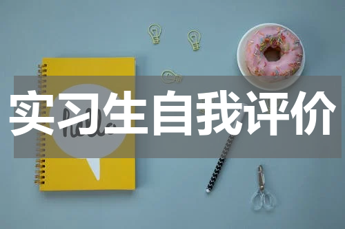 实习生自我评价
