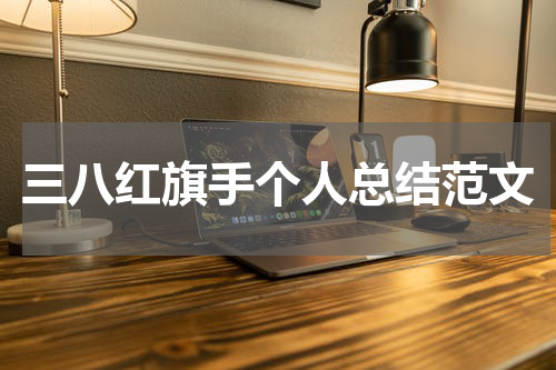 三八红旗手个人总结范文